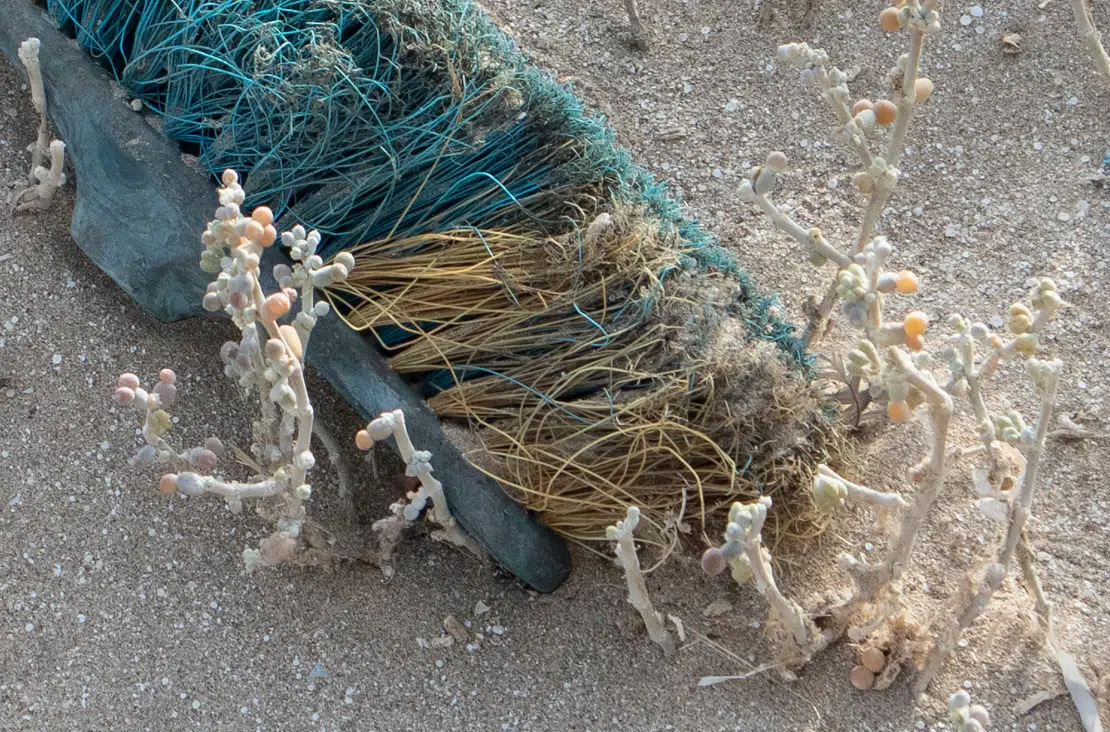 Photo of a discarded green brush on the beach of Dungeness